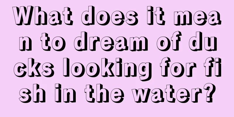 What does it mean to dream of ducks looking for fish in the water?