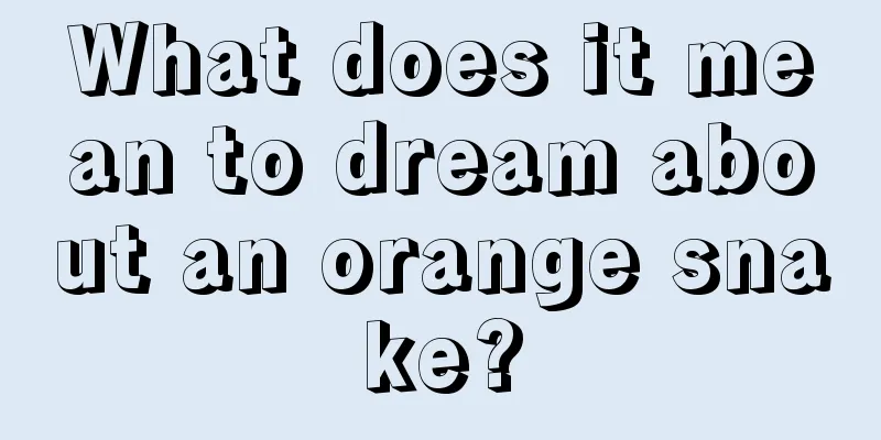 What does it mean to dream about an orange snake?