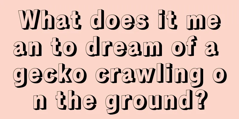 What does it mean to dream of a gecko crawling on the ground?