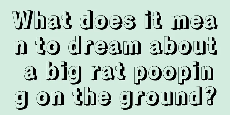 What does it mean to dream about a big rat pooping on the ground?