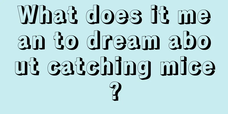 What does it mean to dream about catching mice?