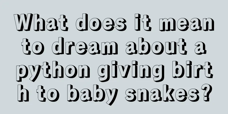 What does it mean to dream about a python giving birth to baby snakes?