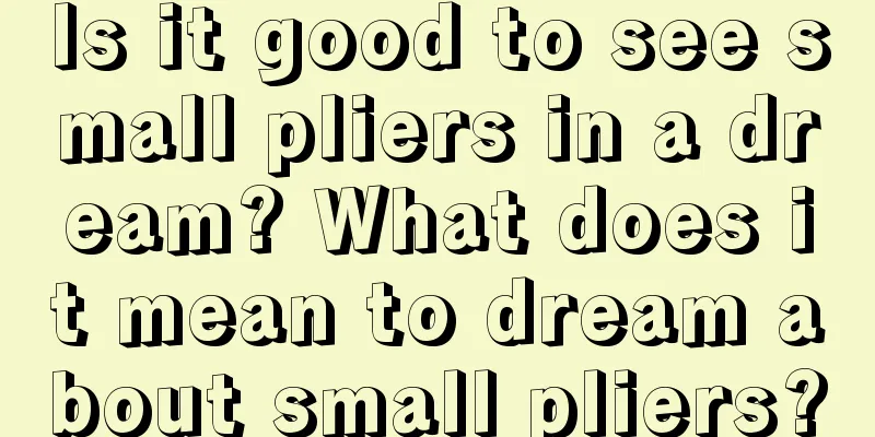 Is it good to see small pliers in a dream? What does it mean to dream about small pliers?