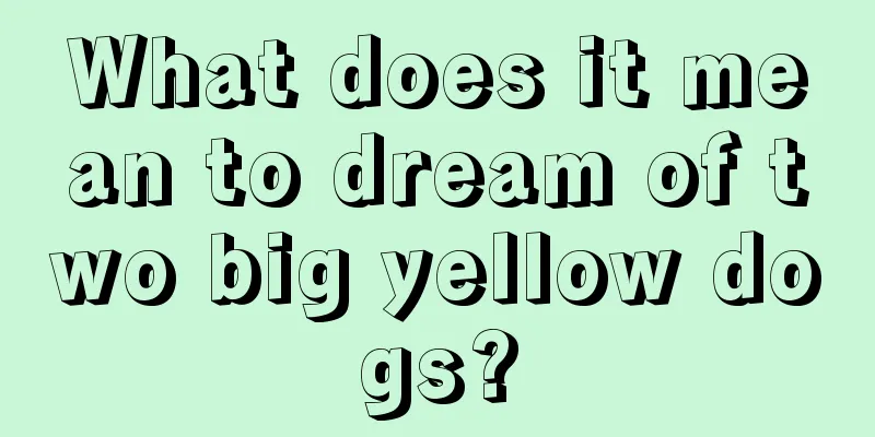 What does it mean to dream of two big yellow dogs?