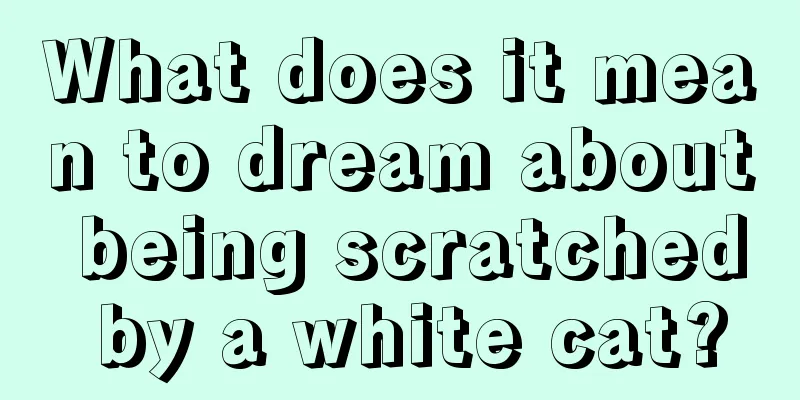 What does it mean to dream about being scratched by a white cat?