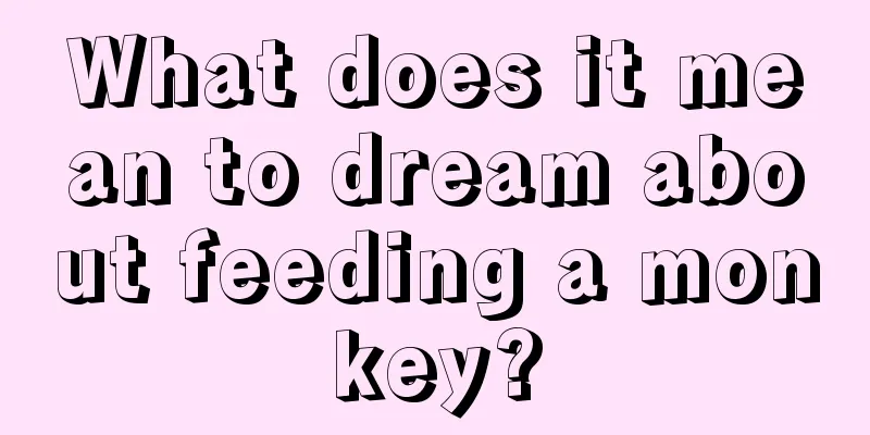 What does it mean to dream about feeding a monkey?