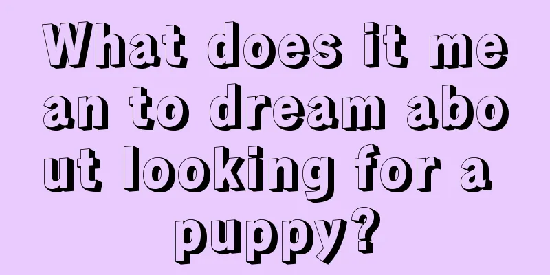 What does it mean to dream about looking for a puppy?