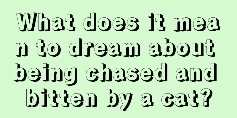 What does it mean to dream about being chased and bitten by a cat?