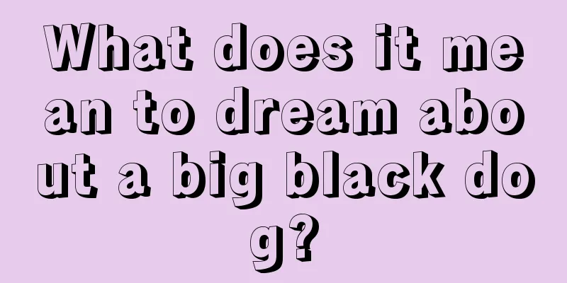 What does it mean to dream about a big black dog?