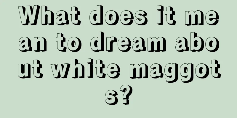 What does it mean to dream about white maggots?