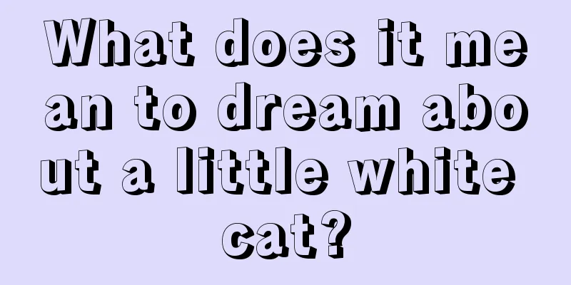 What does it mean to dream about a little white cat?