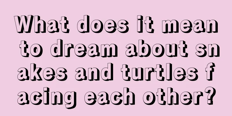 What does it mean to dream about snakes and turtles facing each other?