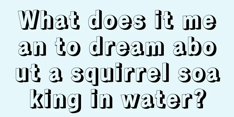 What does it mean to dream about a squirrel soaking in water?