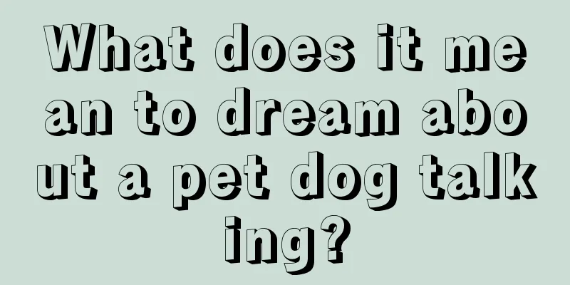 What does it mean to dream about a pet dog talking?