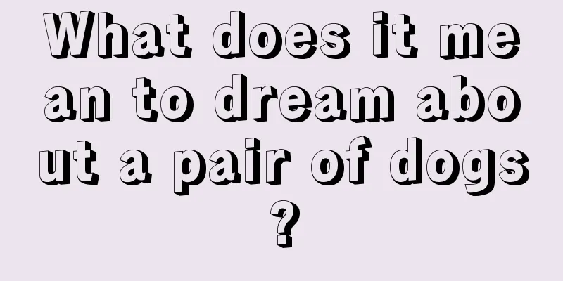 What does it mean to dream about a pair of dogs?