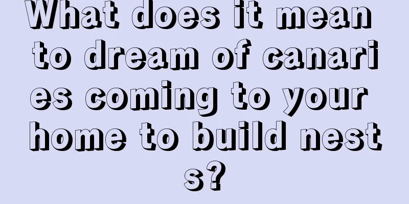 What does it mean to dream of canaries coming to your home to build nests?