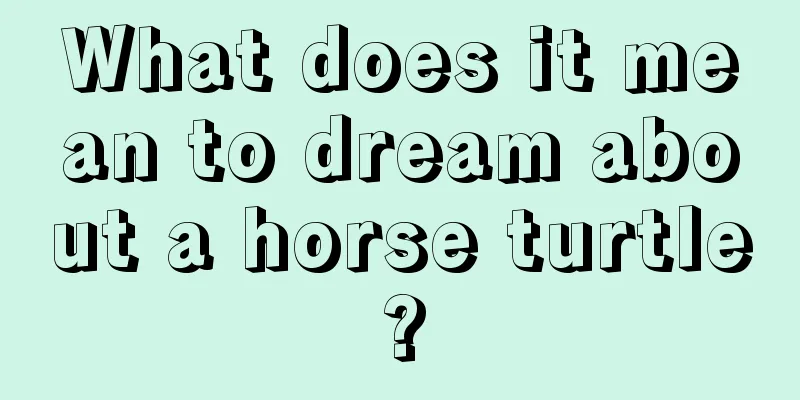 What does it mean to dream about a horse turtle?