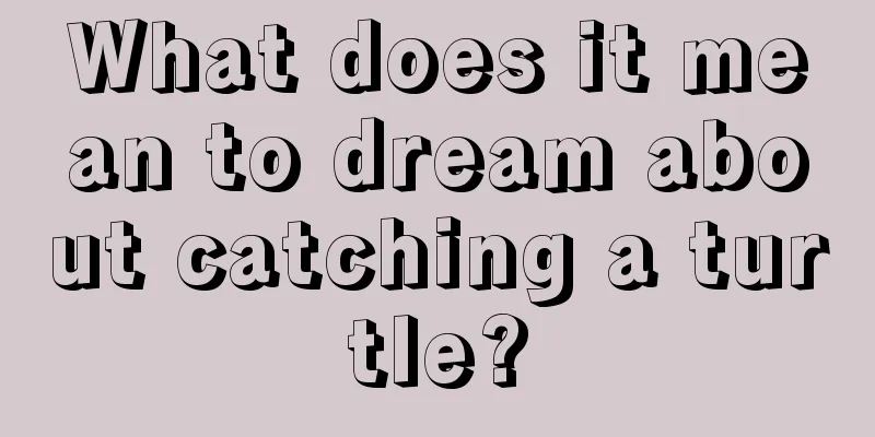 What does it mean to dream about catching a turtle?