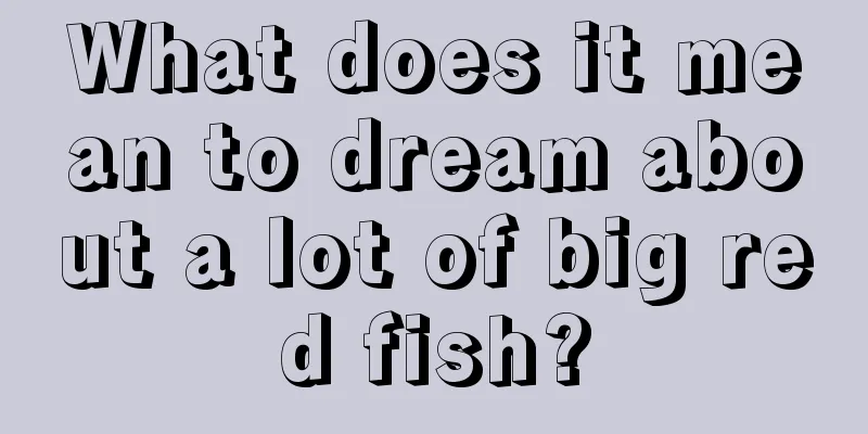 What does it mean to dream about a lot of big red fish?