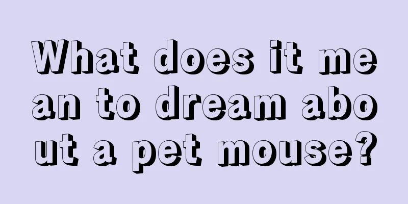 What does it mean to dream about a pet mouse?