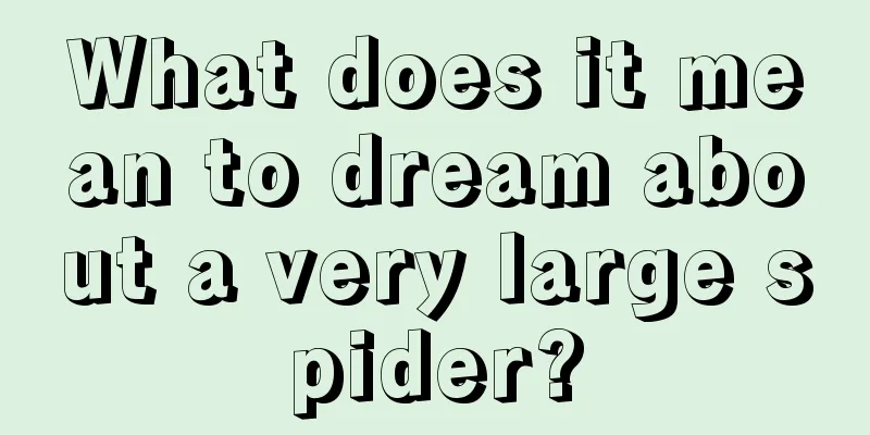 What does it mean to dream about a very large spider?