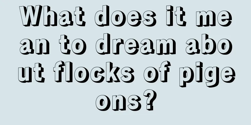 What does it mean to dream about flocks of pigeons?