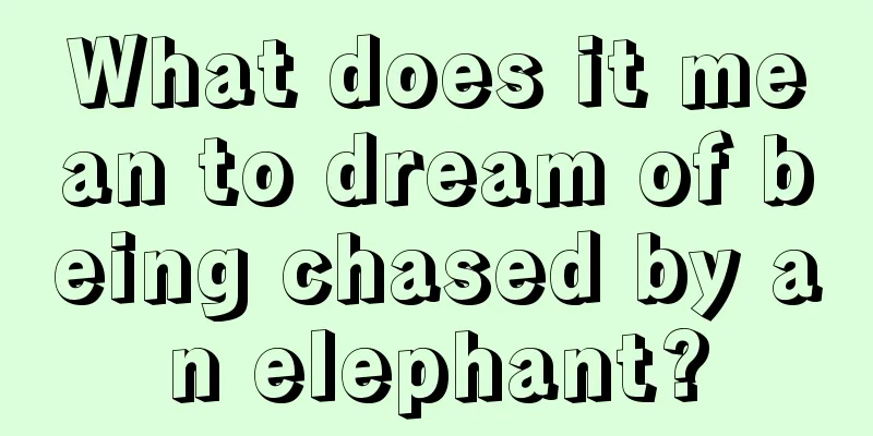 What does it mean to dream of being chased by an elephant?