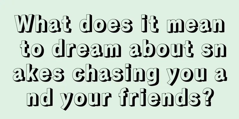 What does it mean to dream about snakes chasing you and your friends?