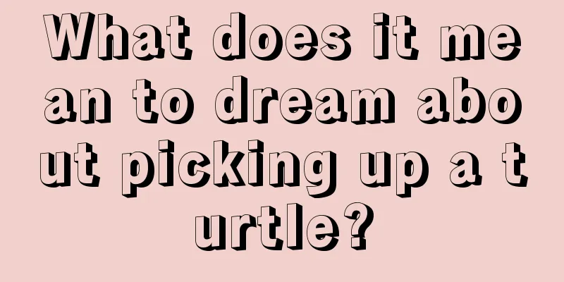 What does it mean to dream about picking up a turtle?