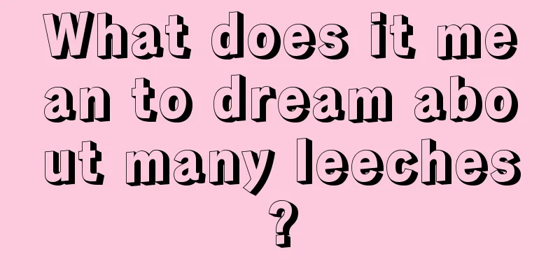 What does it mean to dream about many leeches?