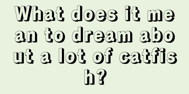 What does it mean to dream about a lot of catfish?