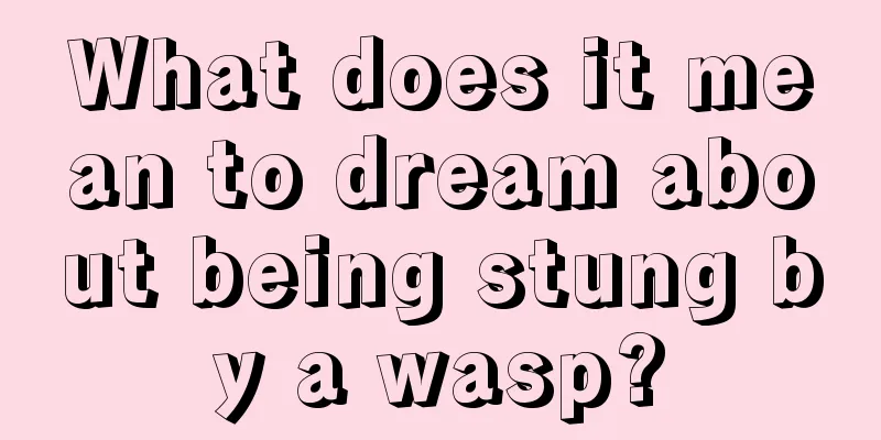 What does it mean to dream about being stung by a wasp?