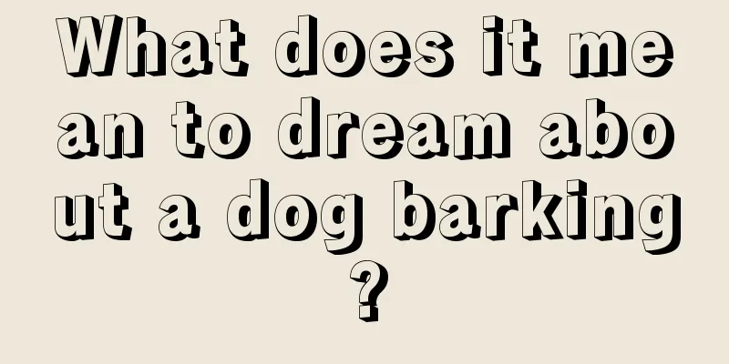 What does it mean to dream about a dog barking?