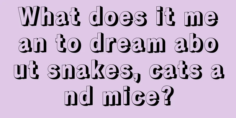 What does it mean to dream about snakes, cats and mice?