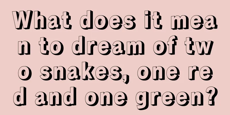 What does it mean to dream of two snakes, one red and one green?