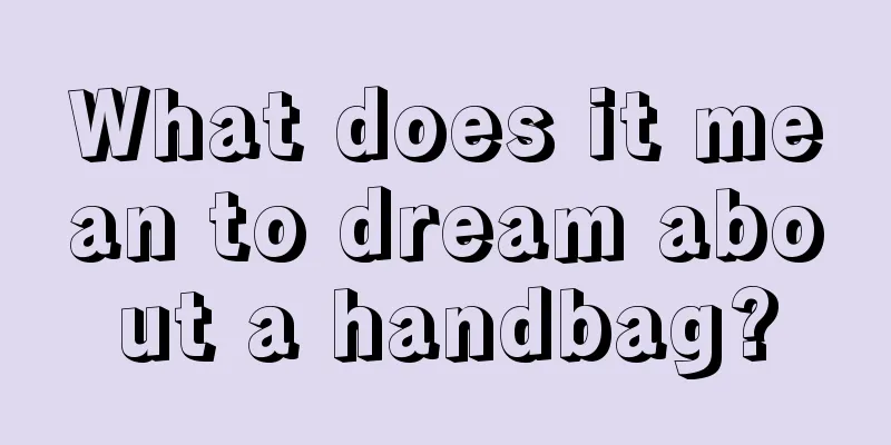 What does it mean to dream about a handbag?