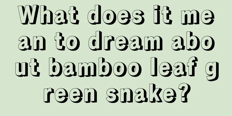 What does it mean to dream about bamboo leaf green snake?