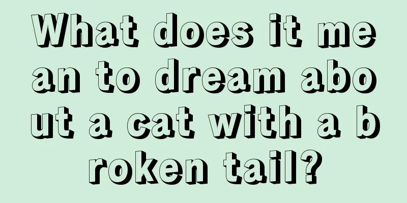 What does it mean to dream about a cat with a broken tail?