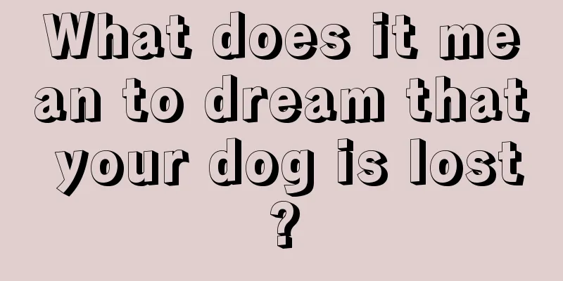 What does it mean to dream that your dog is lost?