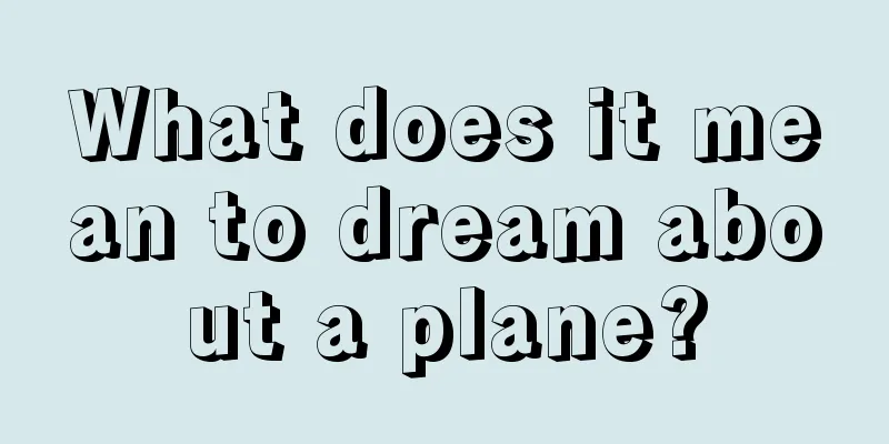 What does it mean to dream about a plane?