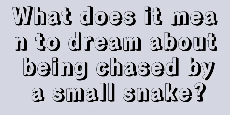 What does it mean to dream about being chased by a small snake?