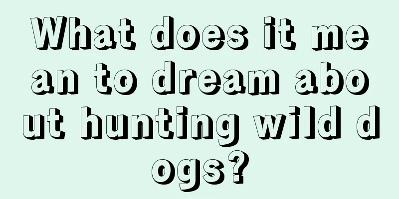 What does it mean to dream about hunting wild dogs?