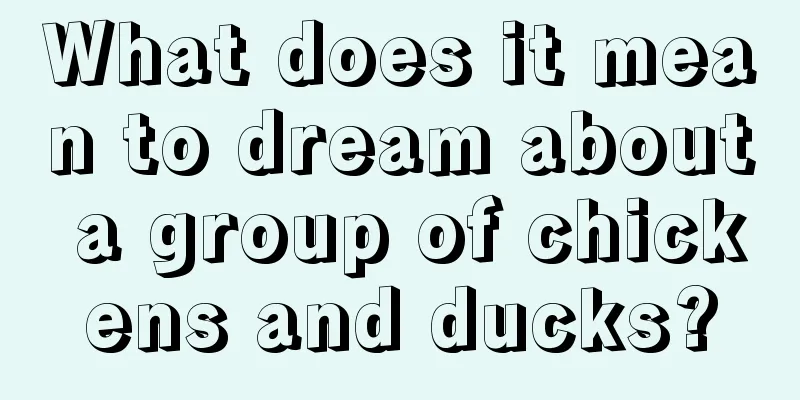 What does it mean to dream about a group of chickens and ducks?