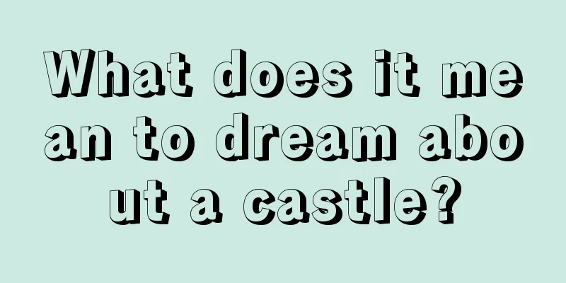 What does it mean to dream about a castle?