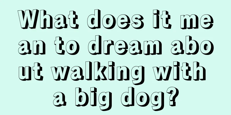 What does it mean to dream about walking with a big dog?