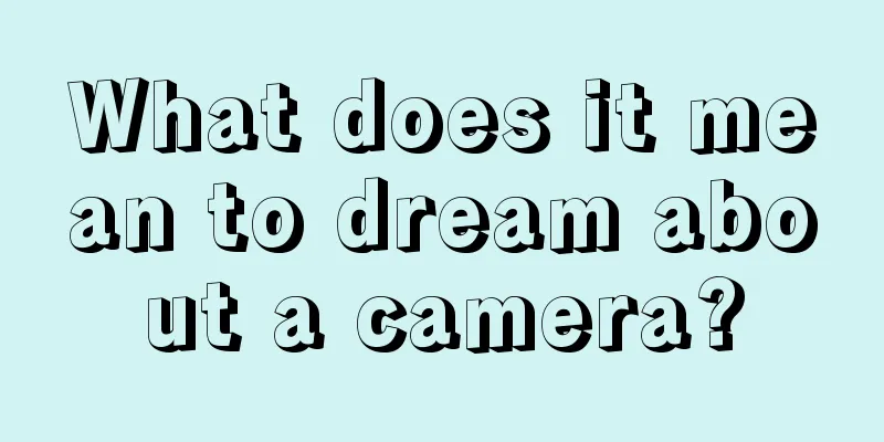 What does it mean to dream about a camera?