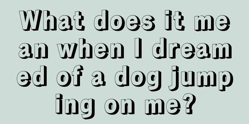 What does it mean when I dreamed of a dog jumping on me?