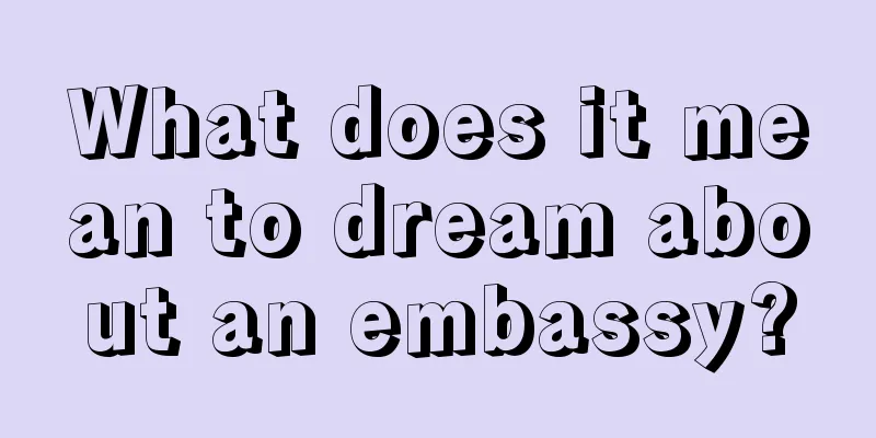 What does it mean to dream about an embassy?