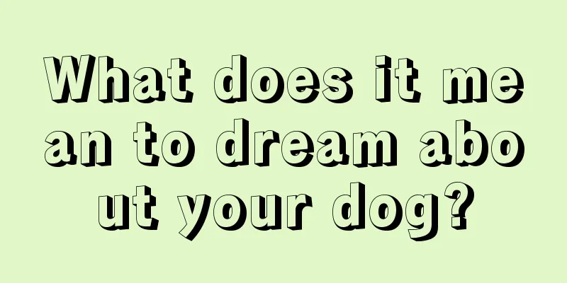 What does it mean to dream about your dog?