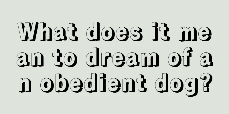 What does it mean to dream of an obedient dog?